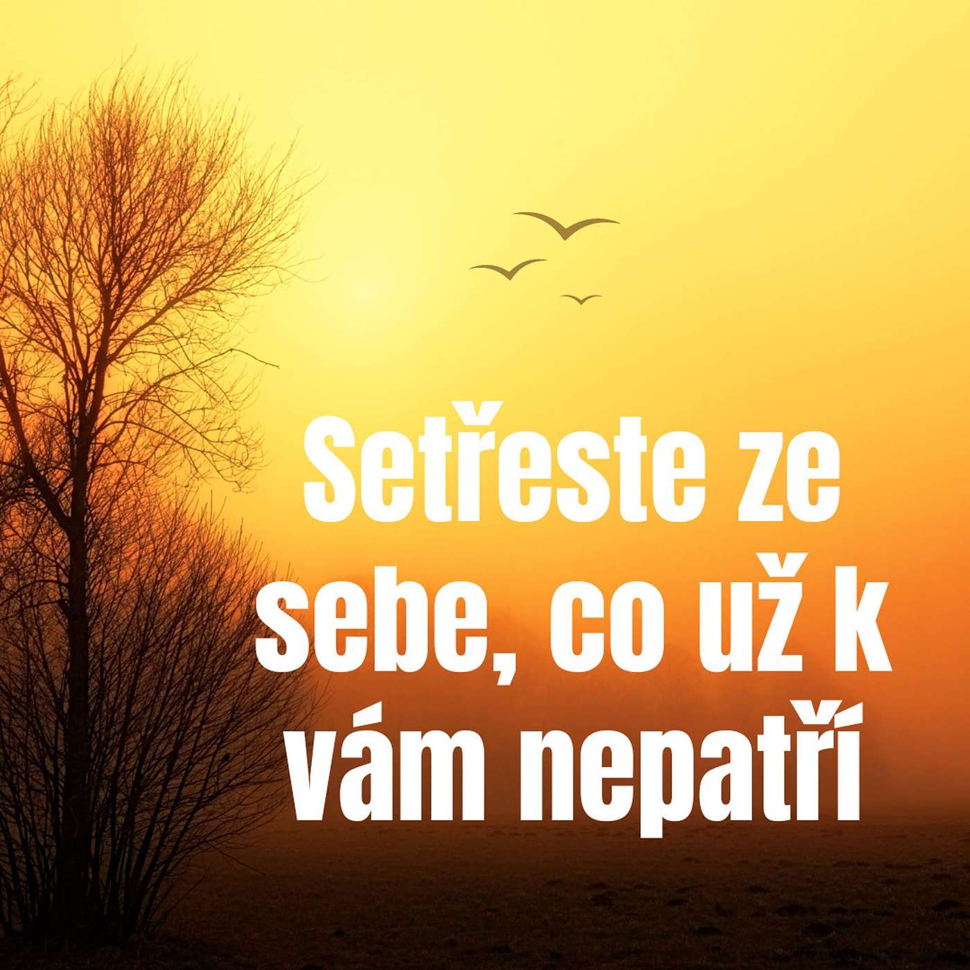 Setřeste ze sebe, co k vám už dávno nepatří! episode artwork