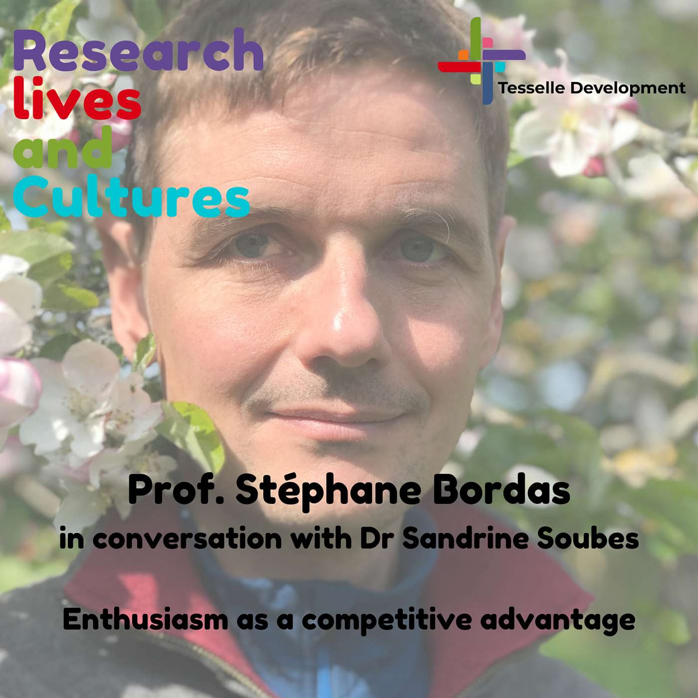 27- Prof. Stéphane Bordas- Enthusiasm as a competitive advantage episode artwork
