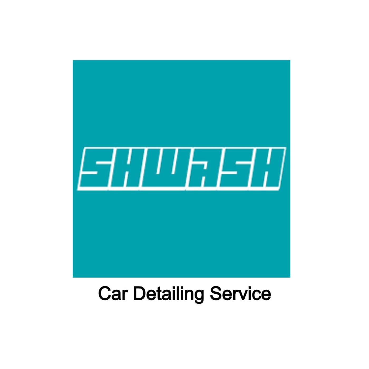 Car Detailing Service episode artwork