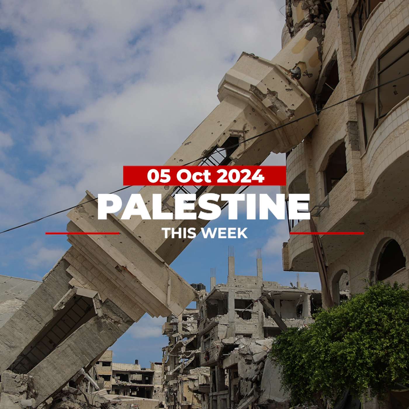 Palestine This Week