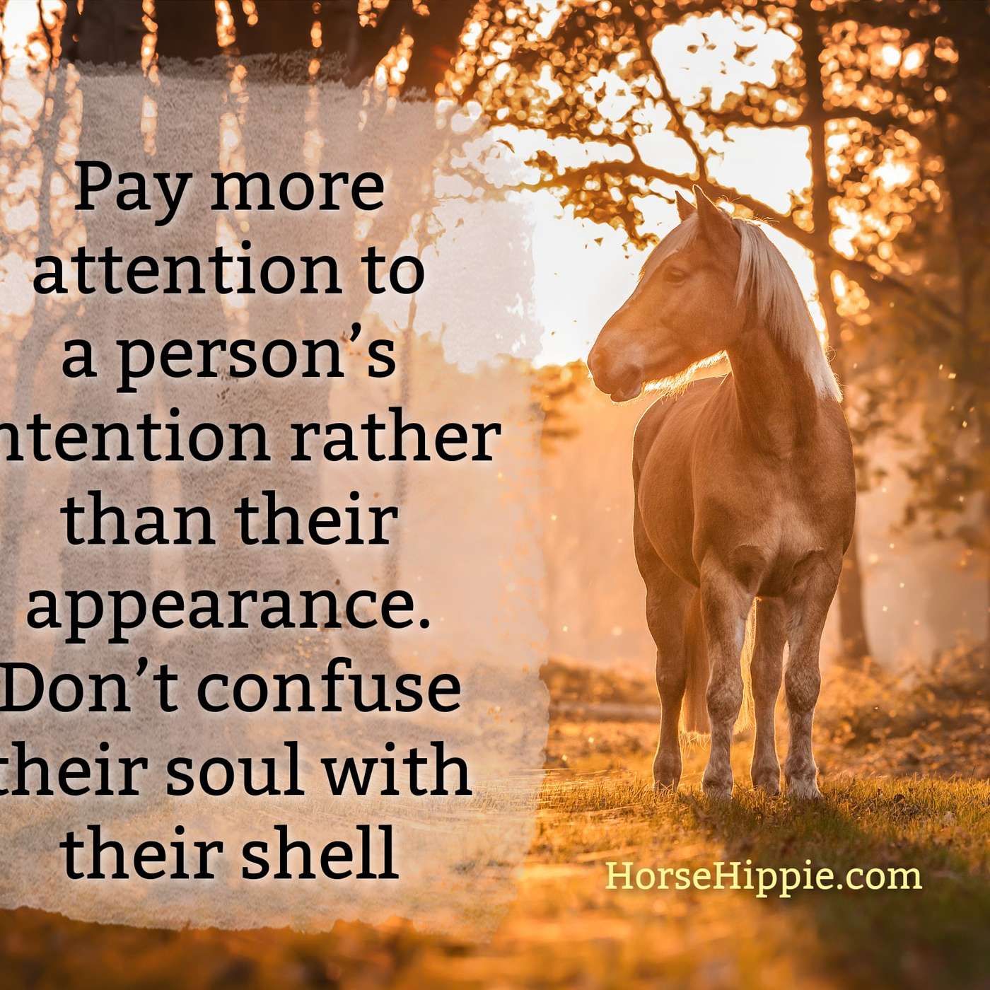 Intention is Everything