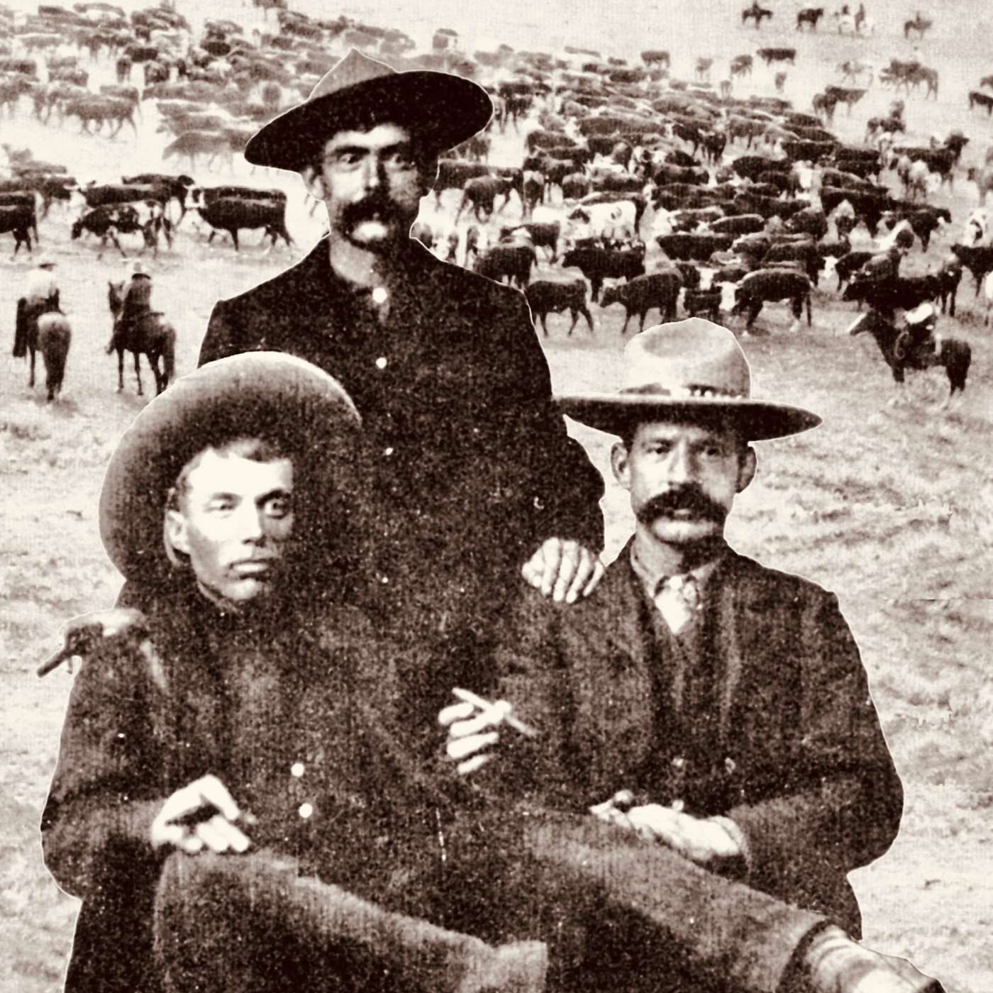 Saddle Up for Adventure: A Deep Dive into Cattle Drives and Cowboy Life in the Wild West