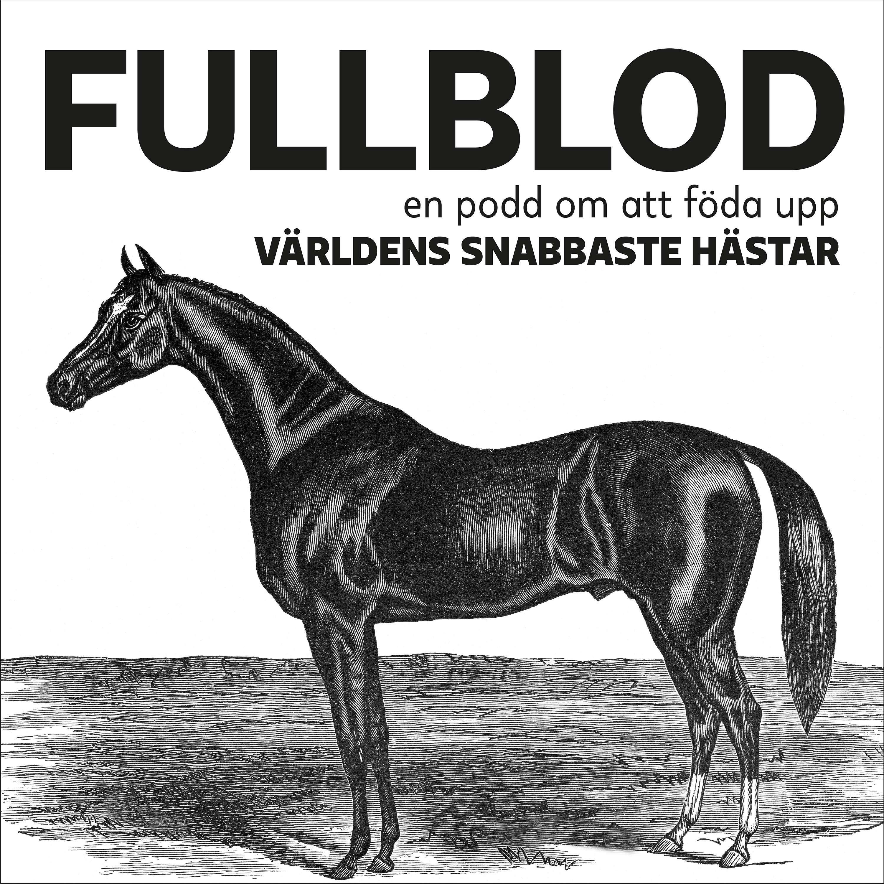 FULLBLOD
