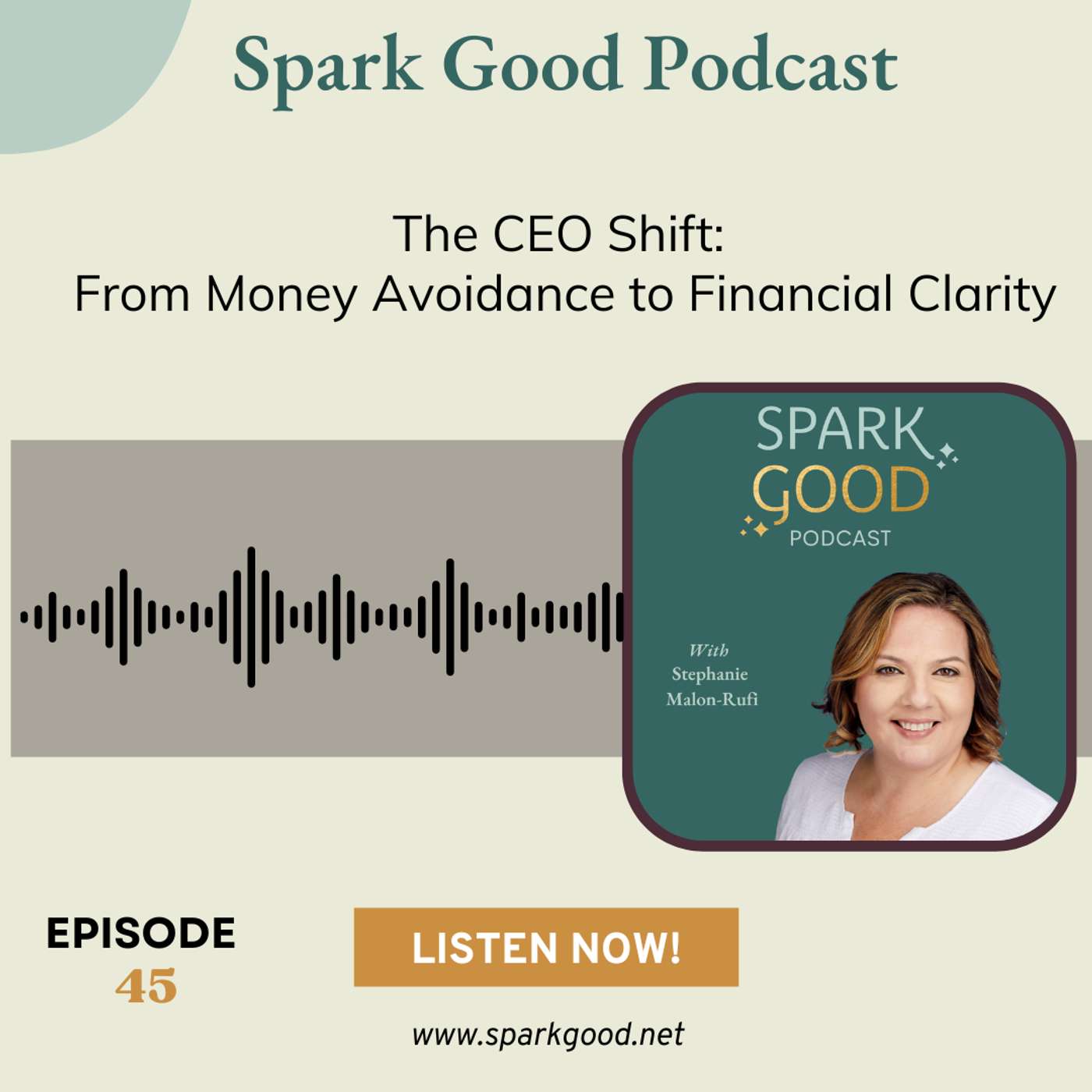 #45: The CEO Shift: From Money Avoidance to Financial Clarity episode artwork