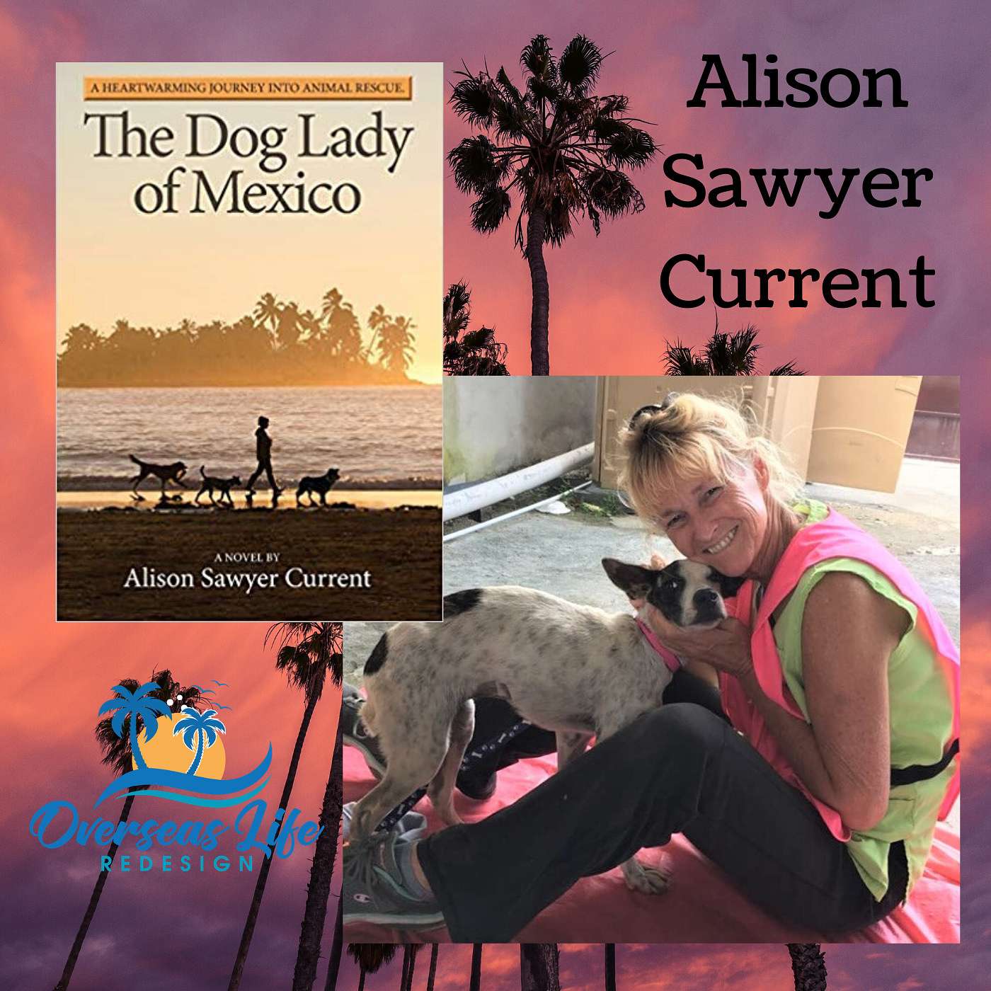 Alison Sawyer: The Dog Lady of Mexico