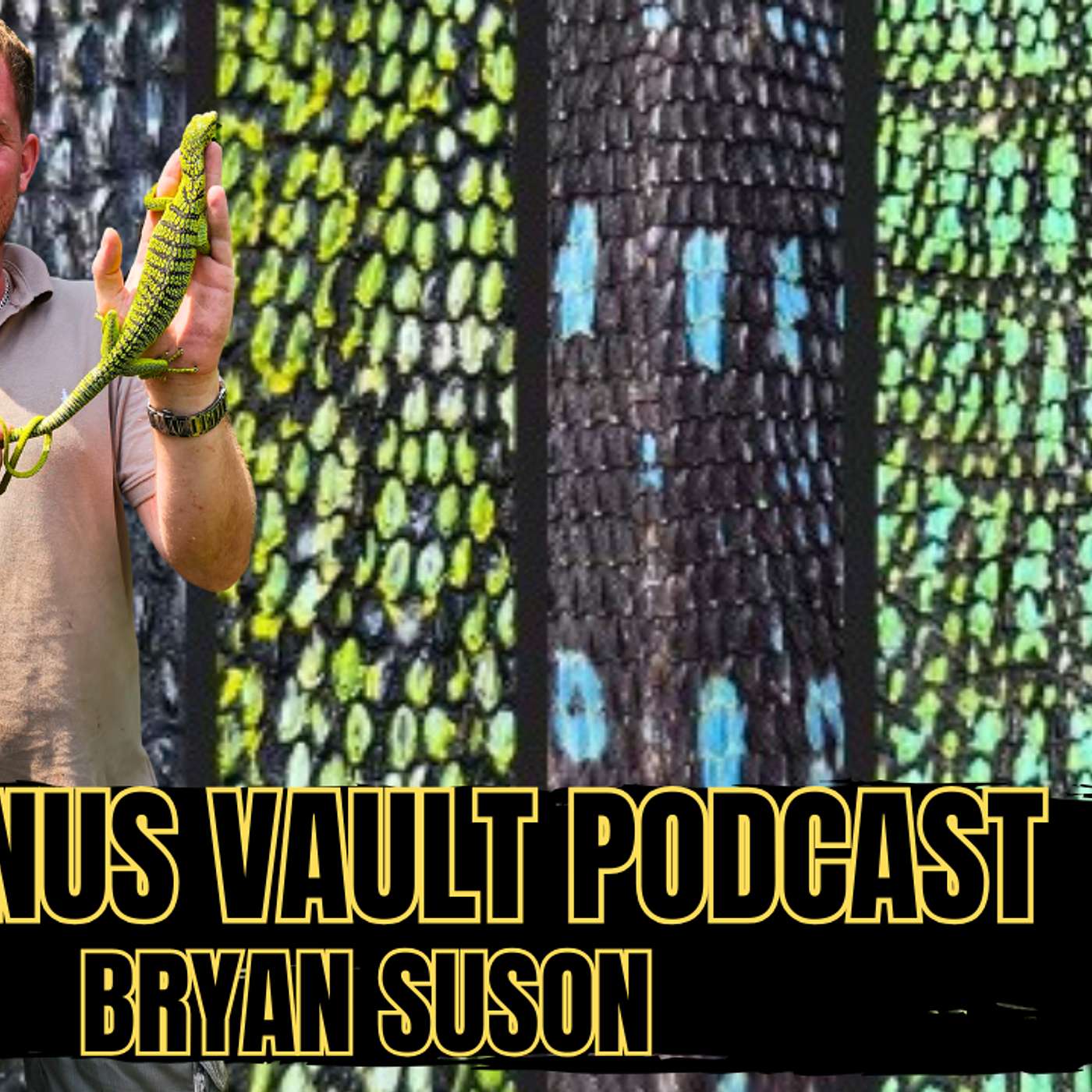 Tree Monitor Breeding Update, Geckos & The Next Trip To Indo | Varanus Vault Live