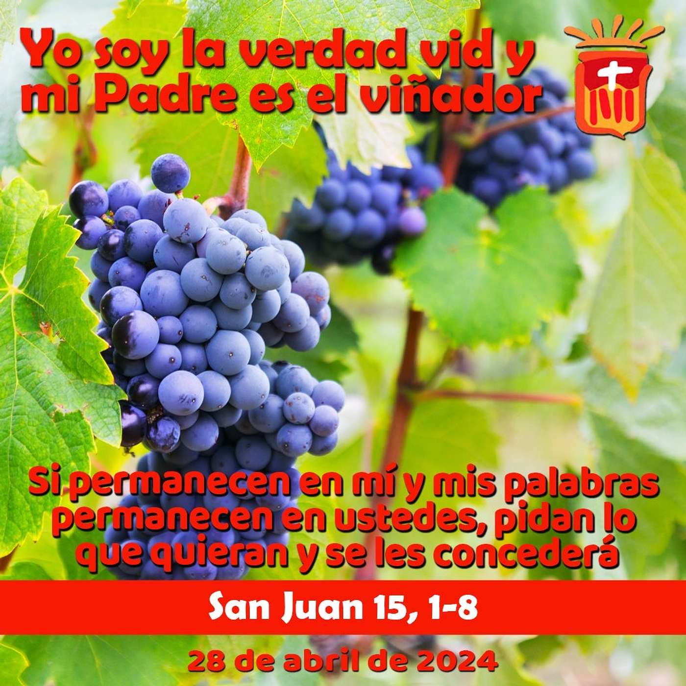 2024-04-28 San Juan 15, 1-8: V Domingo de Pascua.