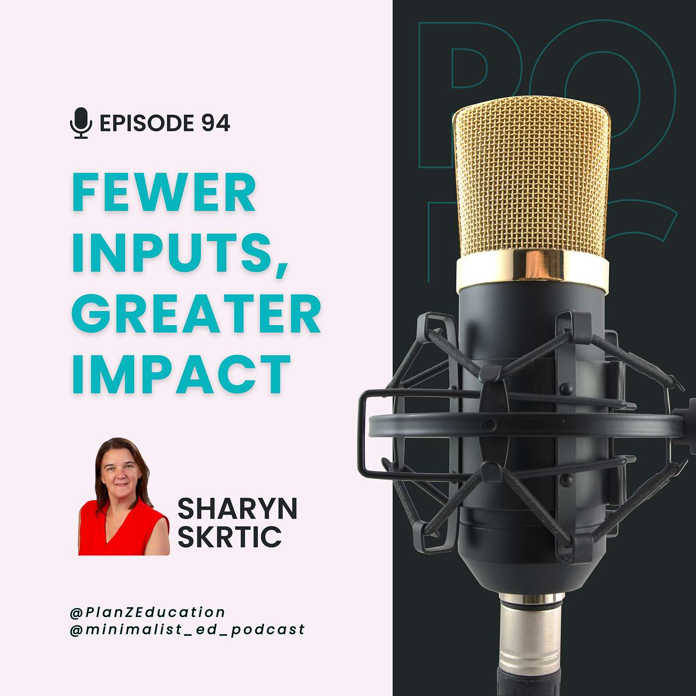 Ep 094 — Fewer Inputs, Greater Impact with Sharyn Skrtic episode artwork