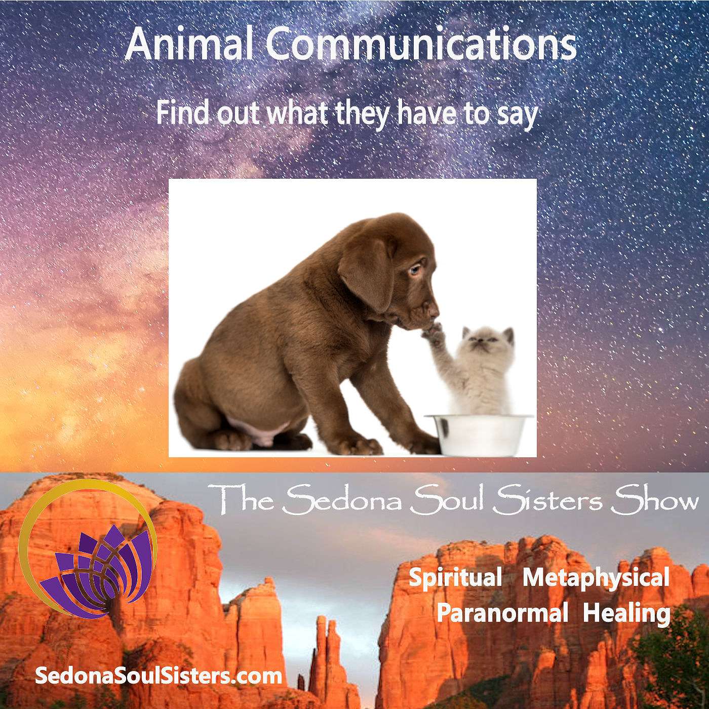 Animal Communications
