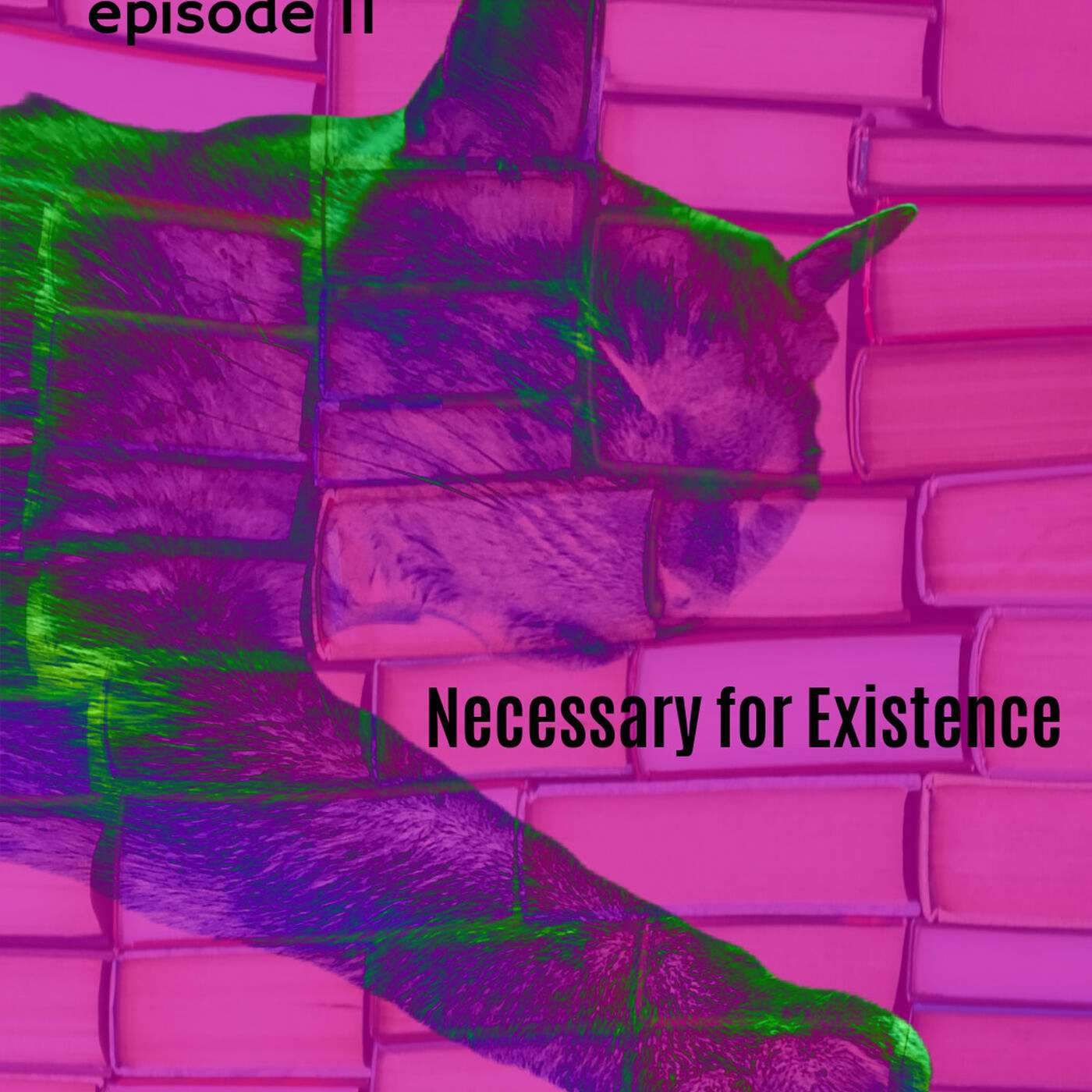Em\'s Books & Cats Podcast