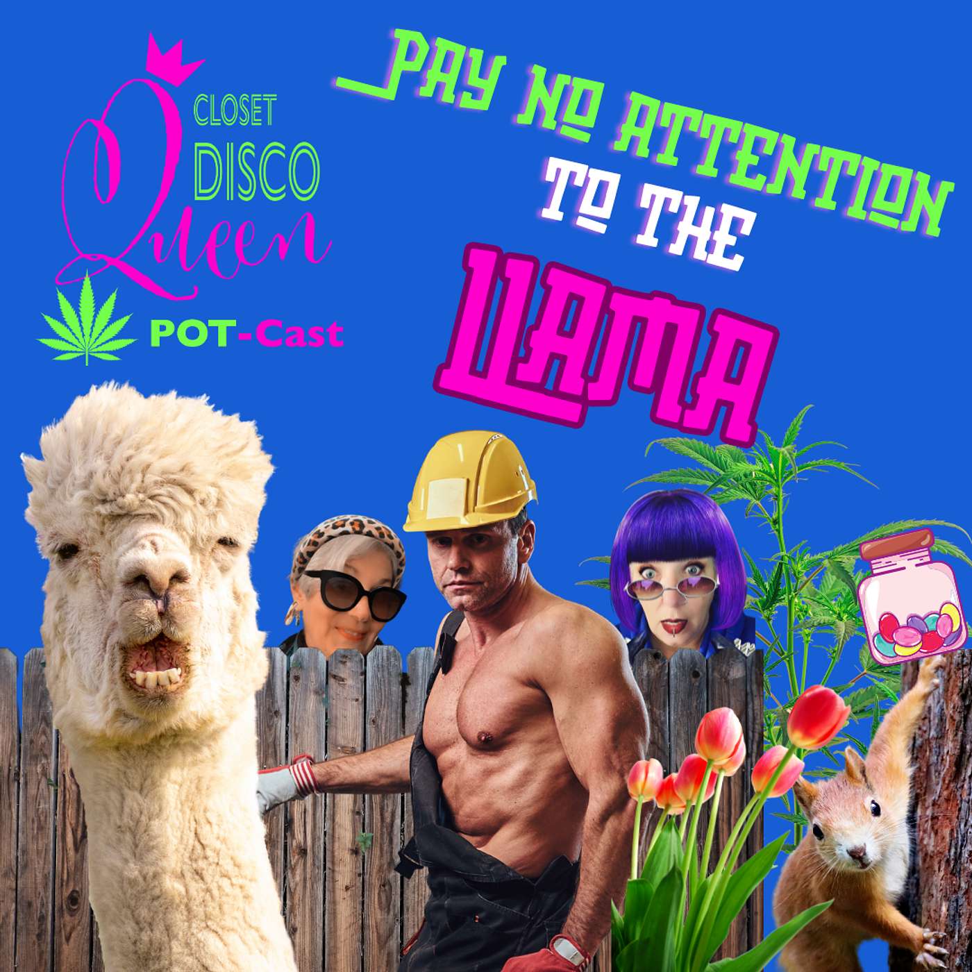 Midlife Cannabis, Confidence & Real Talk for Women | Pay No Attention to the Llama episode artwork