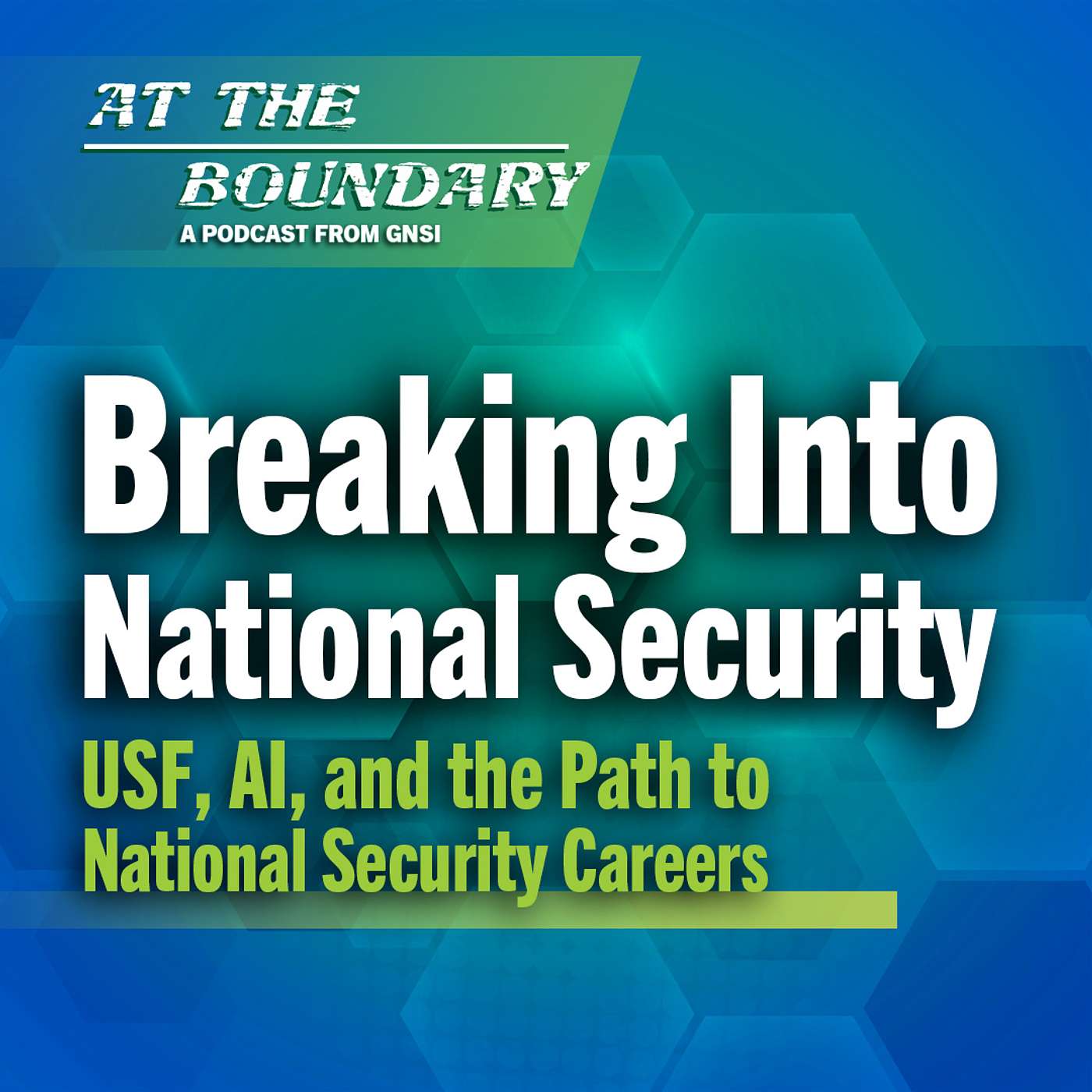 Breaking Into National Security: USF, AI, and the Path to National Security Careers episode artwork