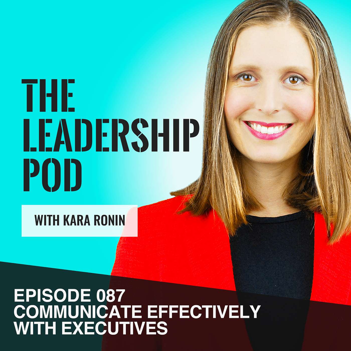 Communicate Effectively With Executives - 6 Tips! [087]