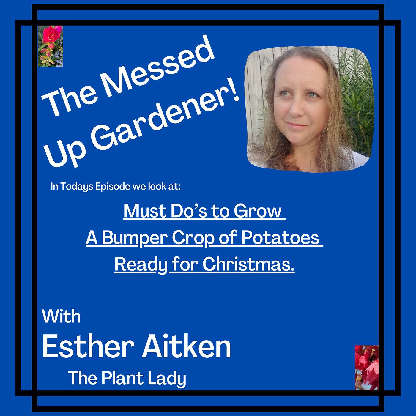 The Messed Up Gardener