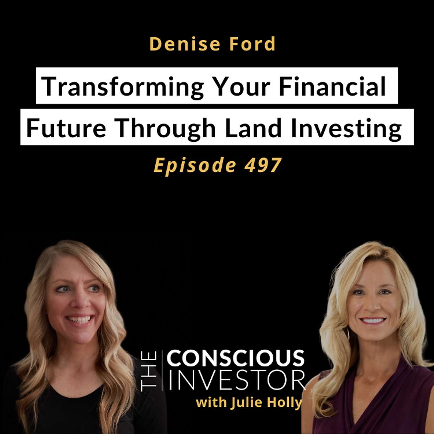 Ep497 Transforming Your Financial Future Through Land Investing with Denise Ford