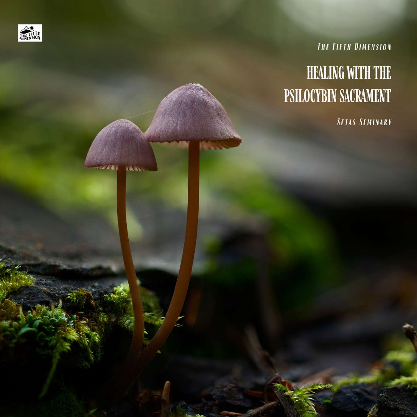 Setas Seminary - Healing with the Psilocybin Sacrament