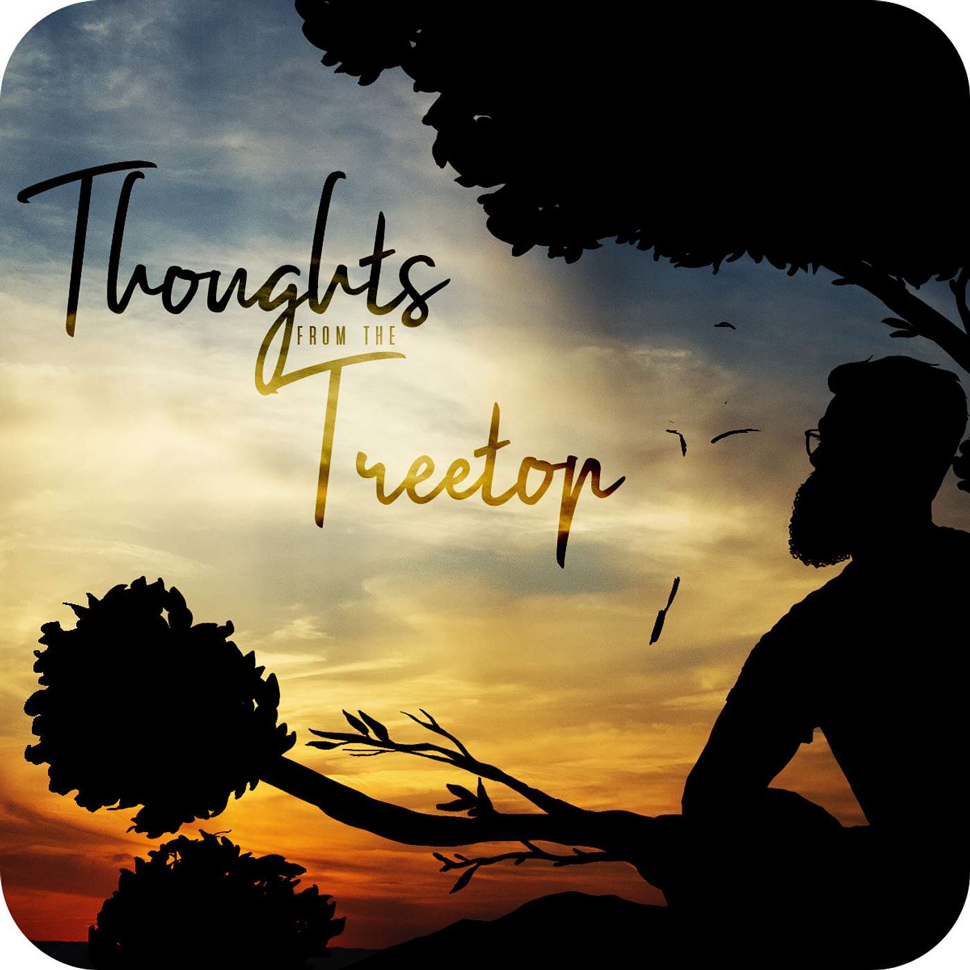 Thoughts from the Treetop Episode 1: Fitness or Die Thoughts from the Treetop Episode 1: Fitness or Die