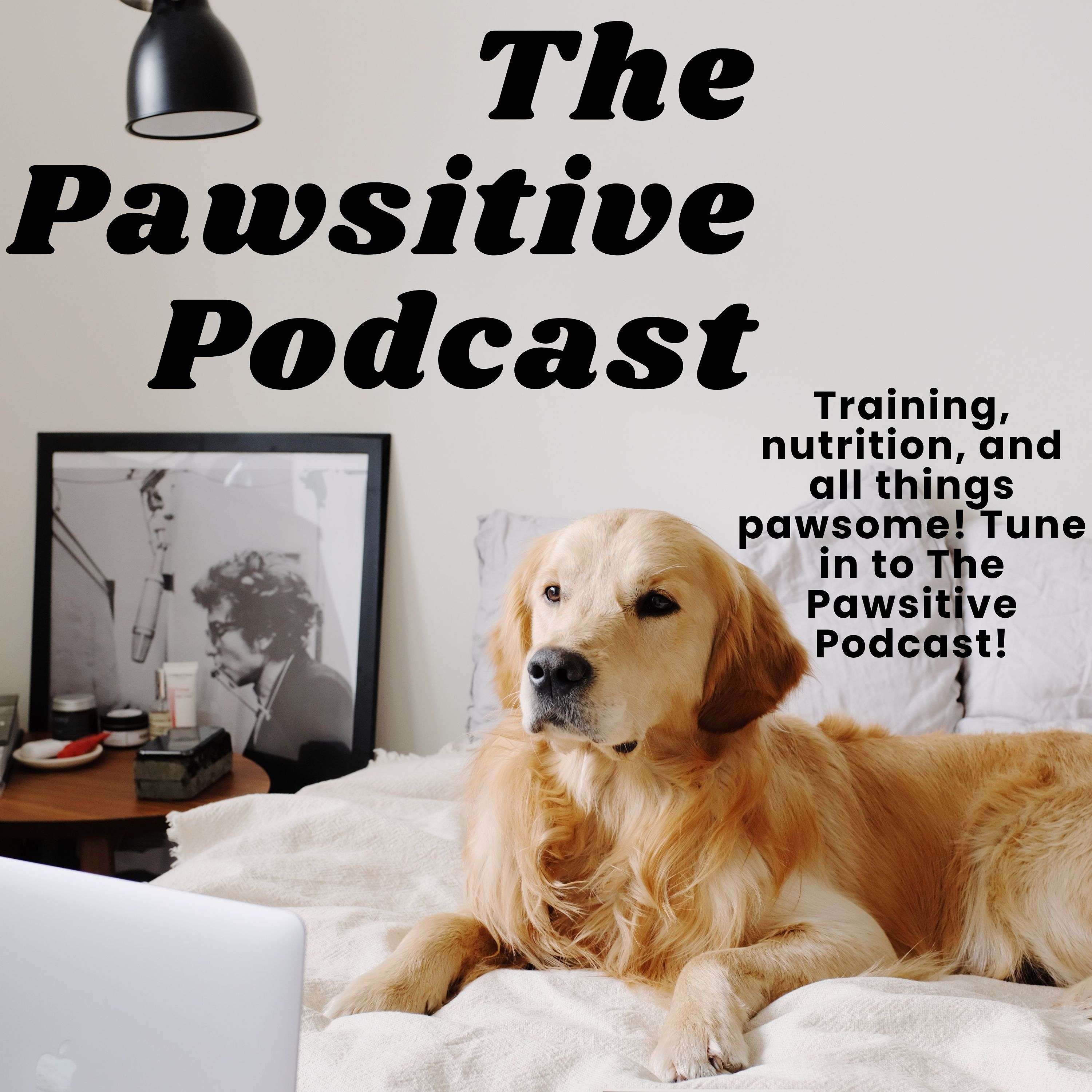 The Pawsitive Podcast by Just Woofit!