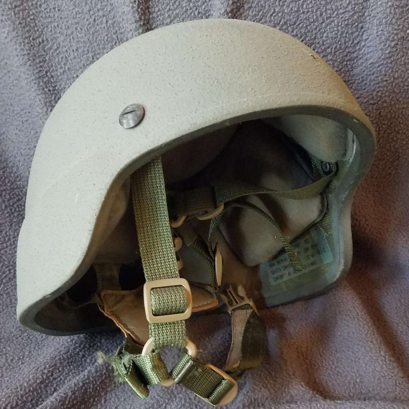 Teacher Tails - Karrer Shorts