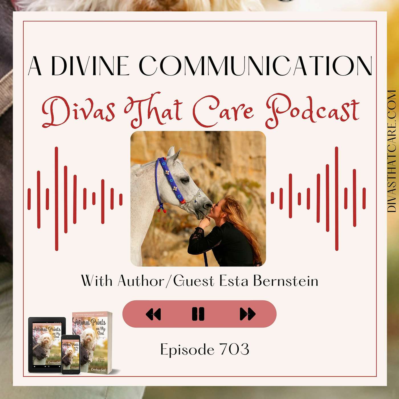 Special Episode: A Divine Communication episode artwork