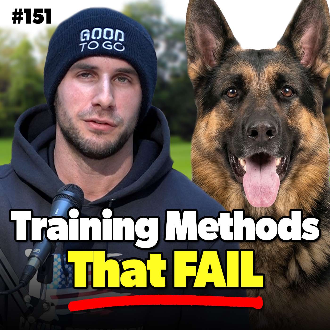 #151 Why 'Positive Only' and 'Compulsion' Training are Both Failing Your Dog