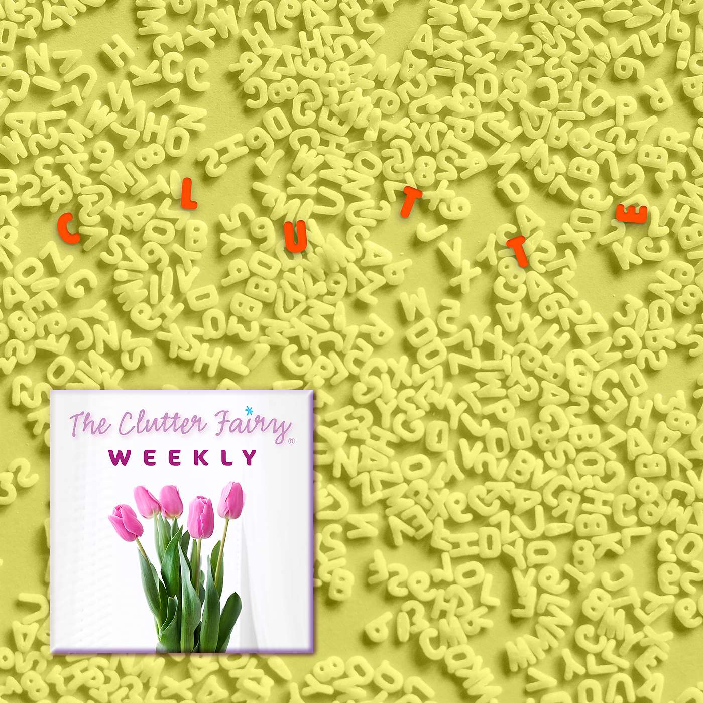The Clutter Fairy Weekly
