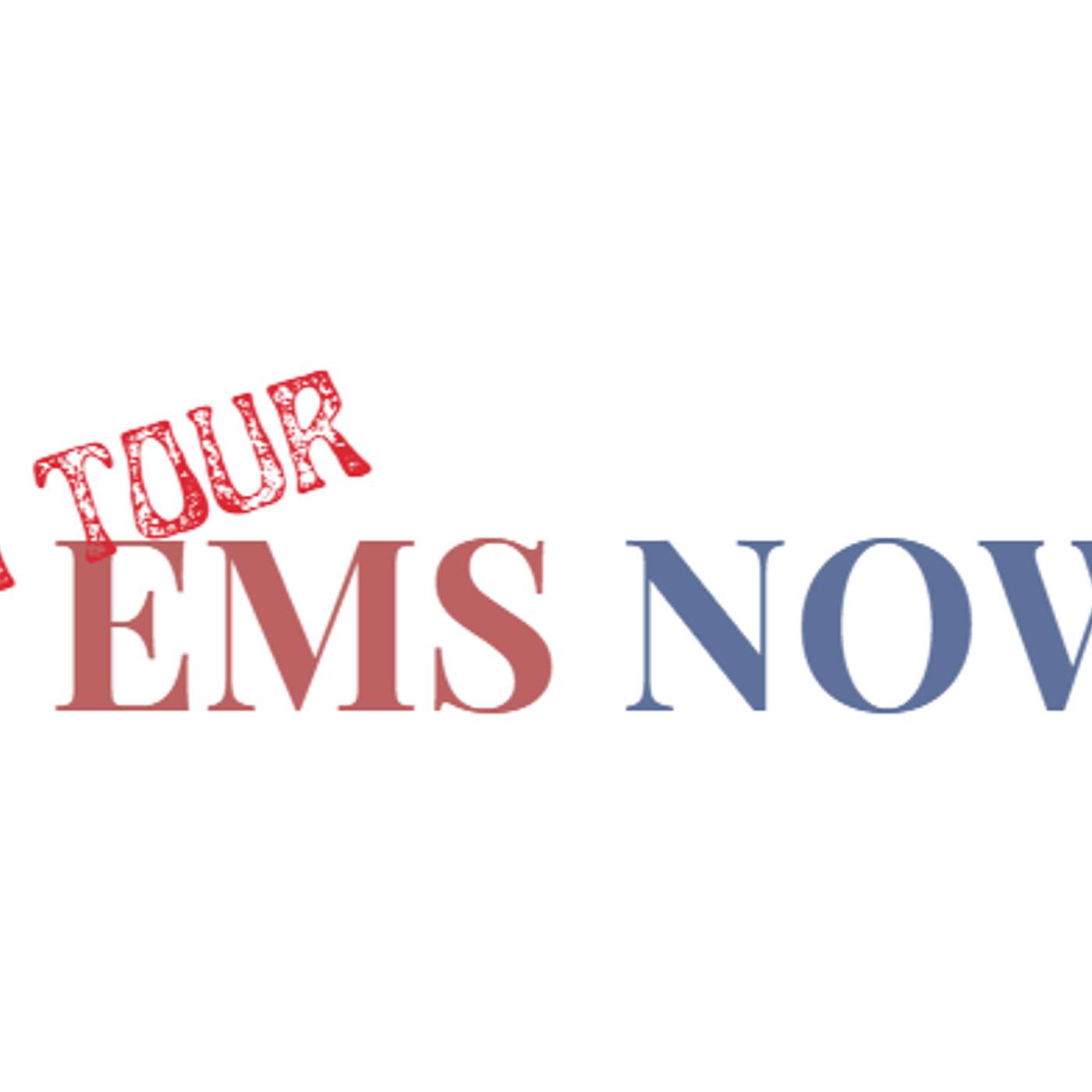 EMSNOW On Tour: India Podcast 7 -Centum Electronics