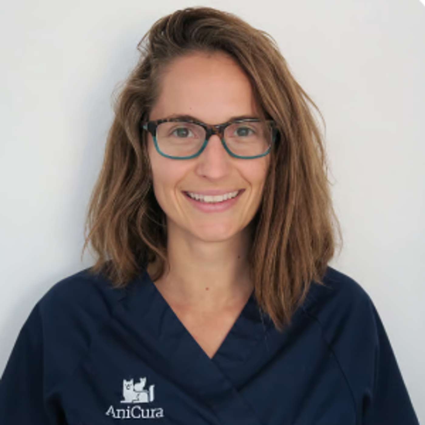 Pregunta al experto 4 | ¿Cómo diagnostico la hipertensión sistémica en el gato? | Patrocinado por Amodip® de Ceva Salud Animal episode artwork