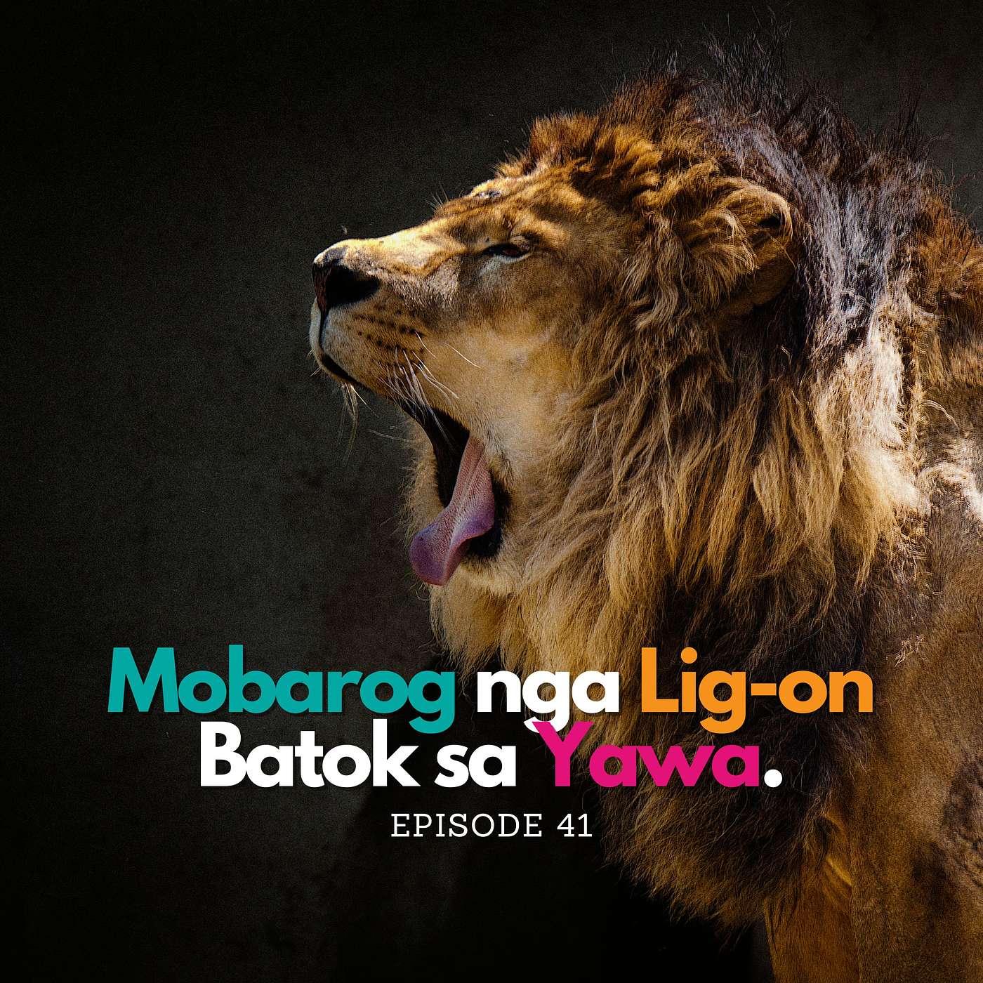 Kinabuhing Kristohanon: a Wali Bisaya Preaching