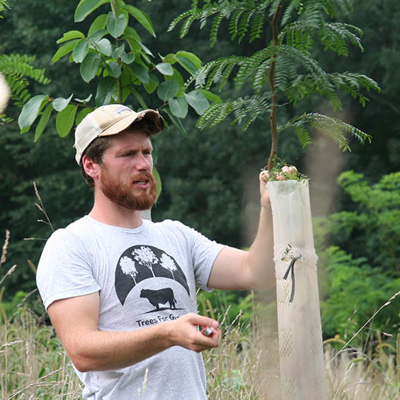 Investing in Regenerative Agriculture and Food