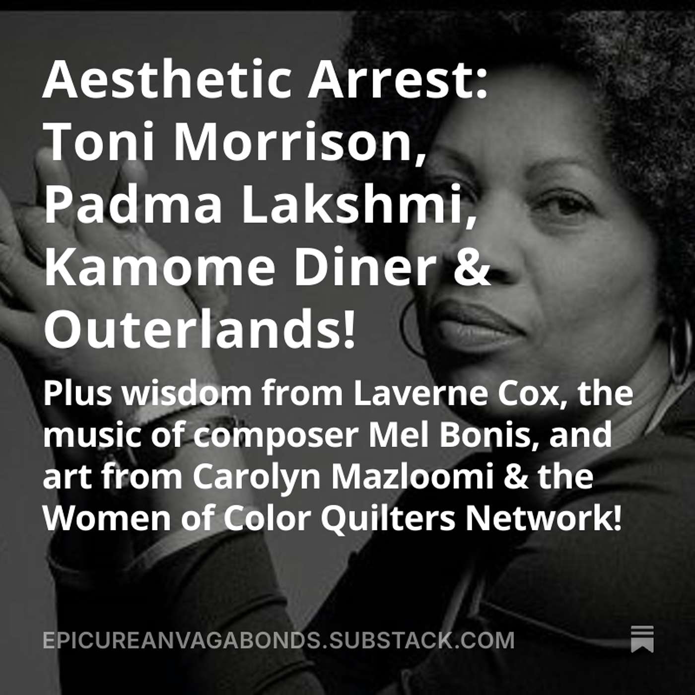 The Epicurean Vagabonds present Aesthetic Arrest