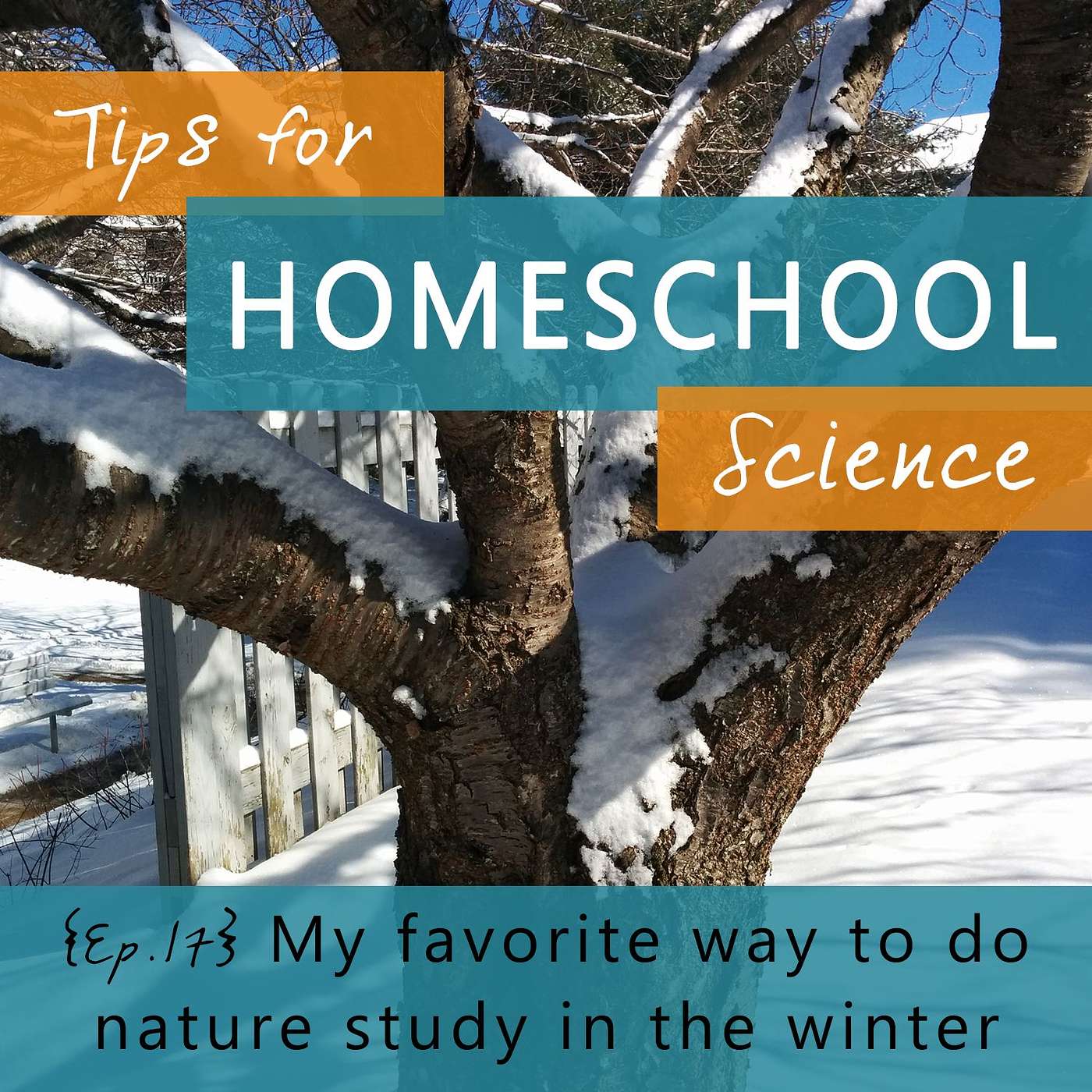 Ep 17 - My favorite way to do nature study during the winter episode artwork