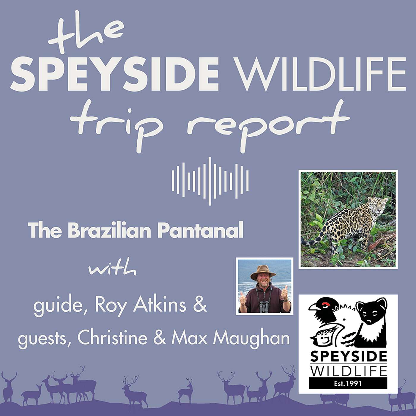 The Speyside Wildlife Trip Report