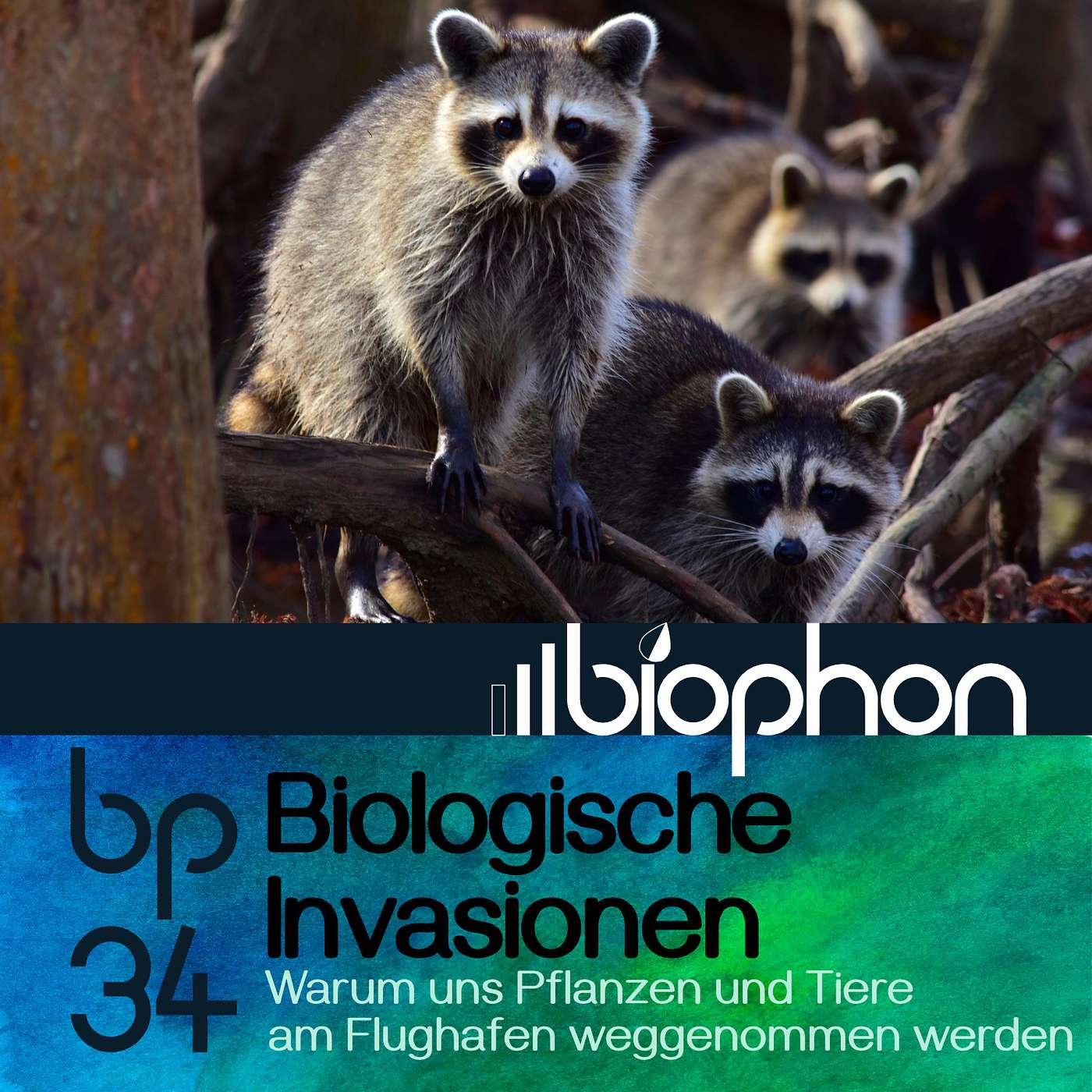 bp34: Biologische Invasionen - Warum uns Pflanzen und Tiere am Flughafen weggenommen werden