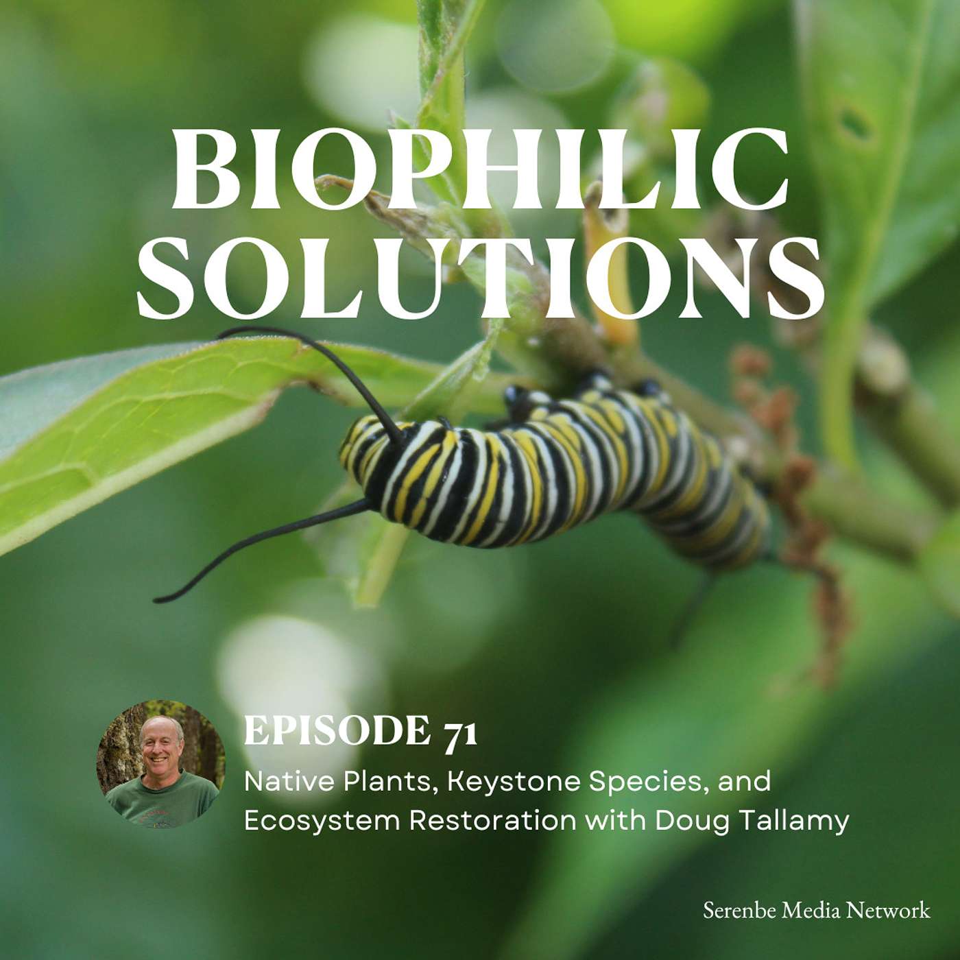 Biophilic Solutions: Nature Has the Answers