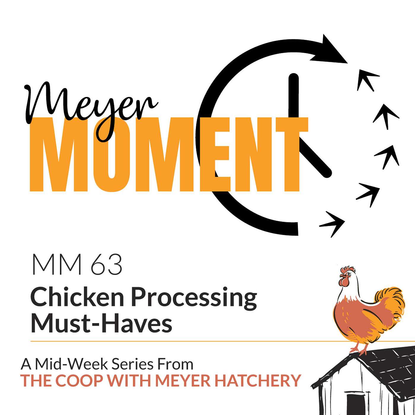 The Coop with Meyer Hatchery - Meyer Moment: Chicken Processing Must-Haves