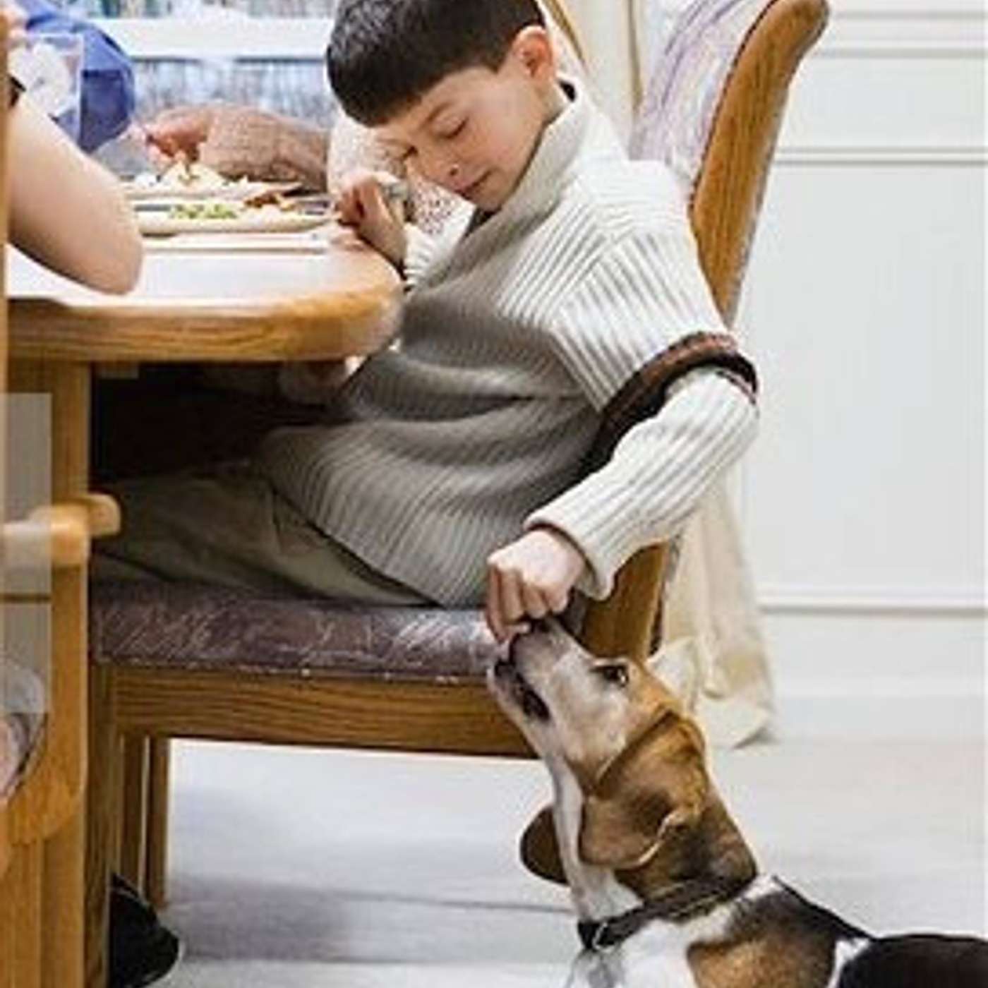 Table Scraps