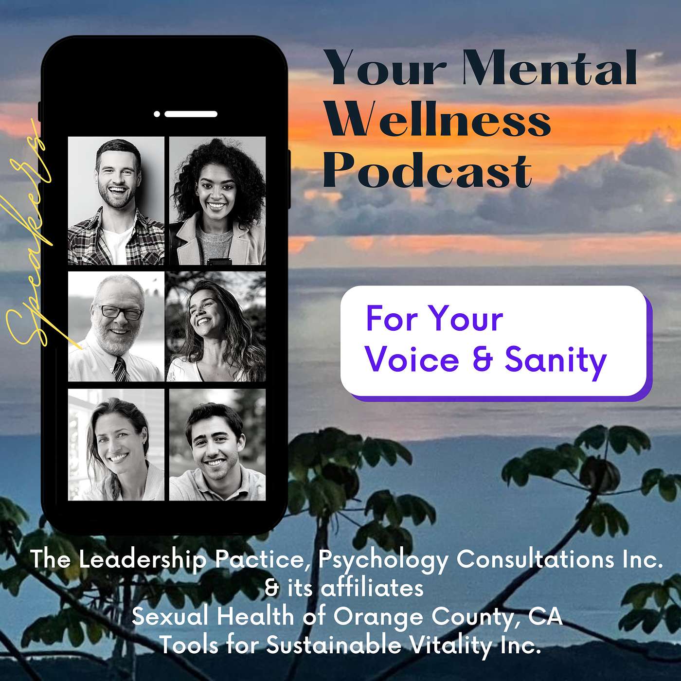 Your Mental Wellness Podcast for Your Voice and Sanity
