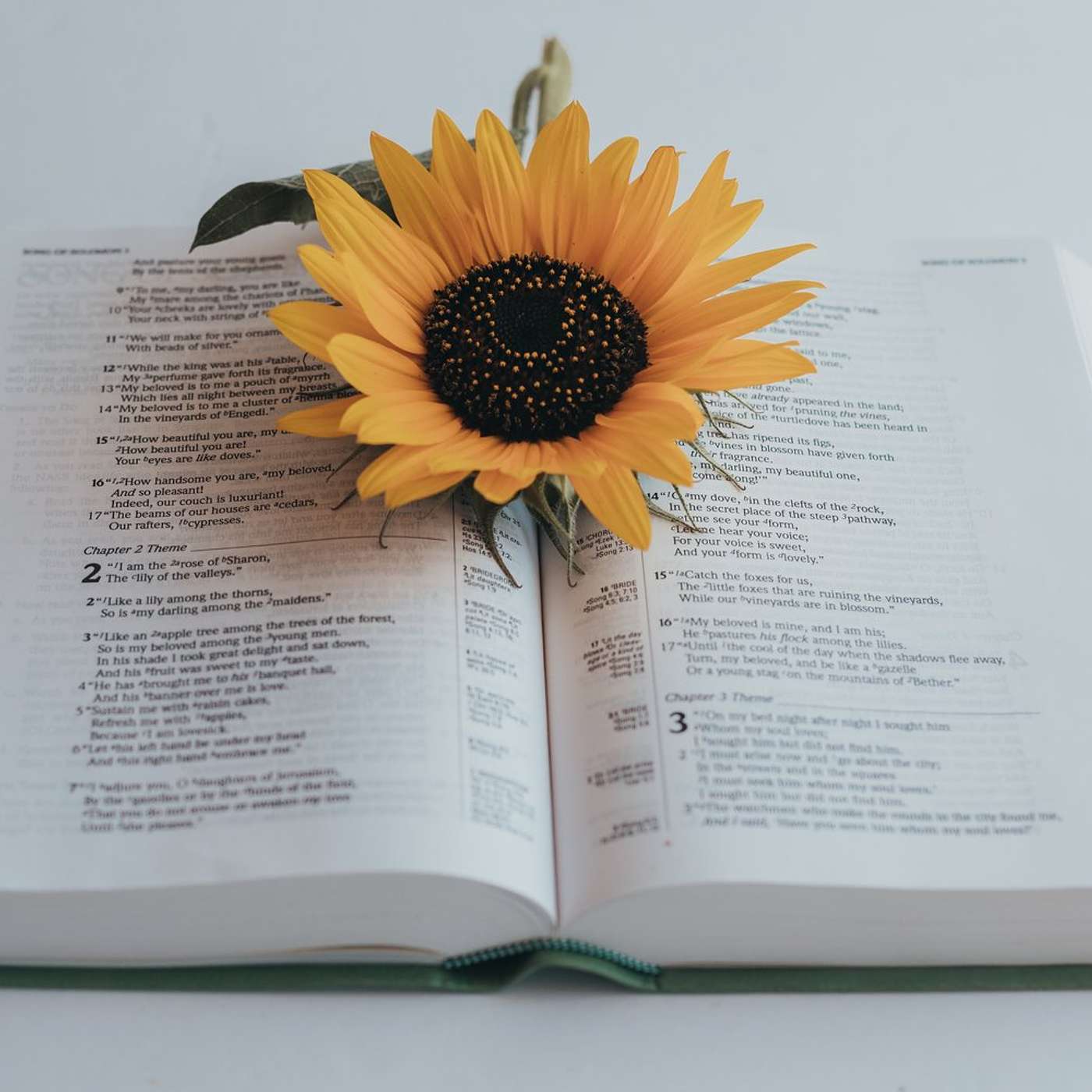 Inspiring Honey Show