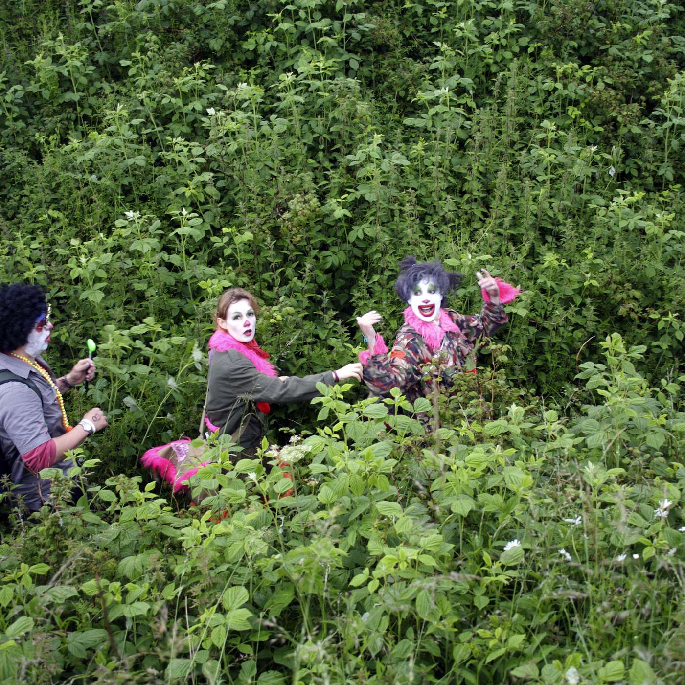 Artists, Activists, and Anarchists Seize Wetlands from the French Republic: We Learn How