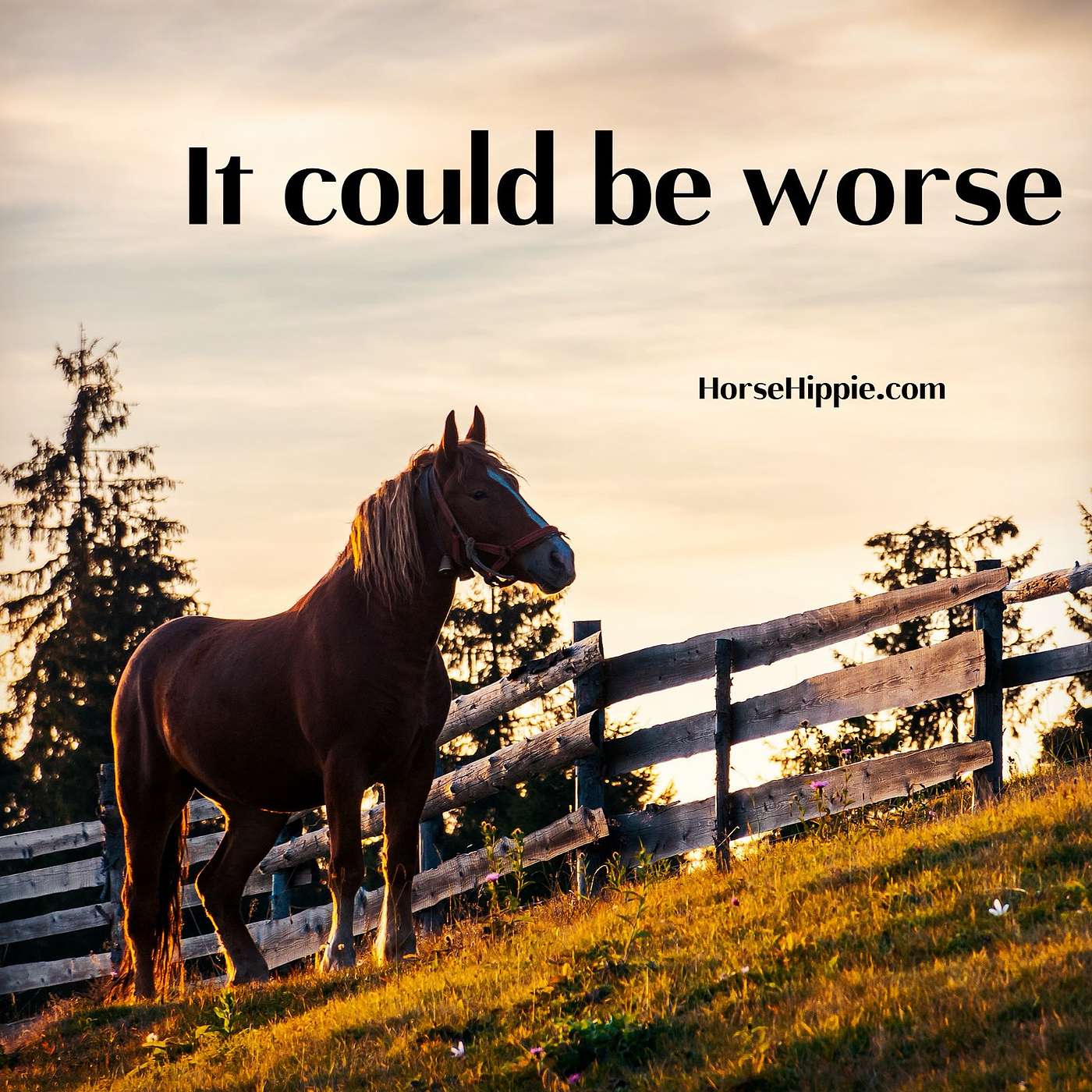 Sitting With the Negative