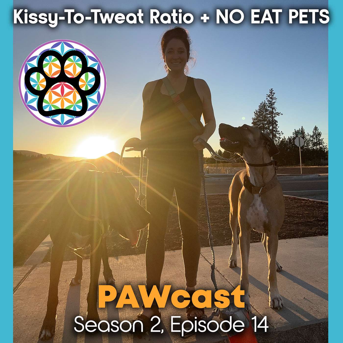 Kissy-To-Treat Ratio & NO EAT PETS! episode artwork