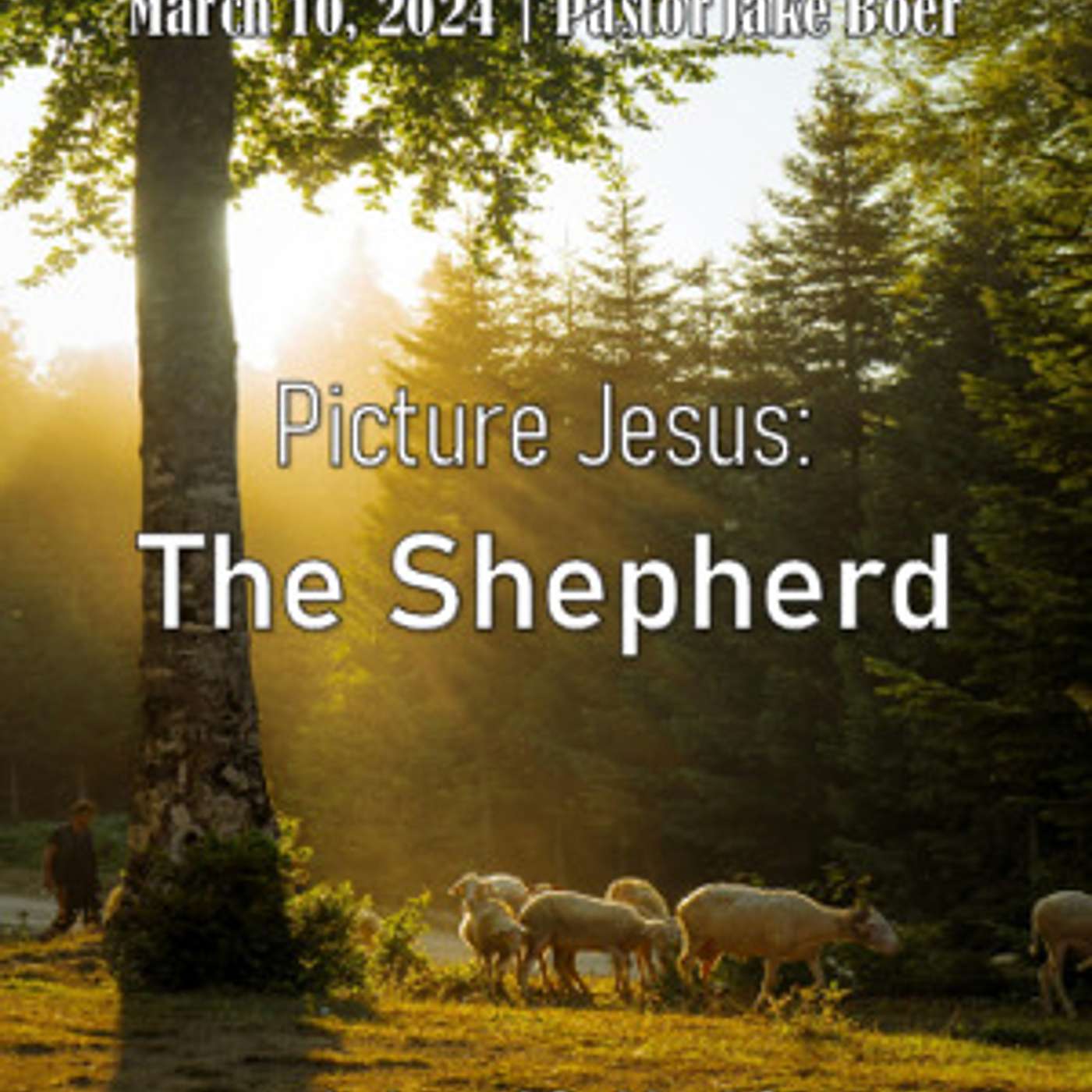 March 10, 2024 Picture Jesus: The Shepherd | John 10:11-18 episode artwork