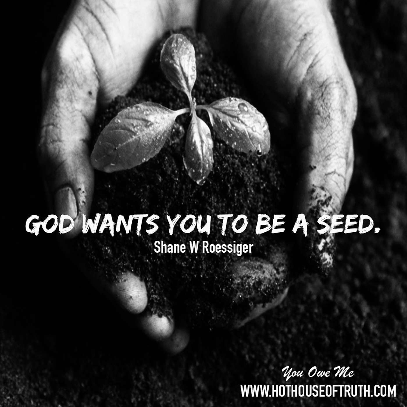Good Seed Is A God Seed - By Shane Roessiger