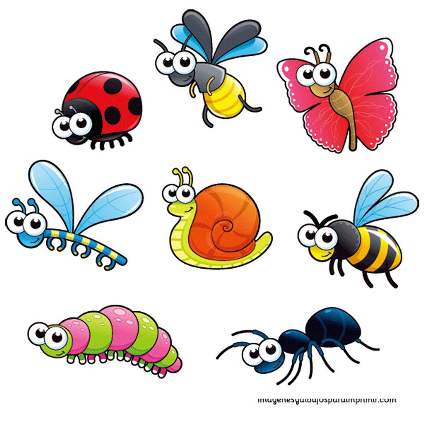 El Rock de los Insectos episode artwork