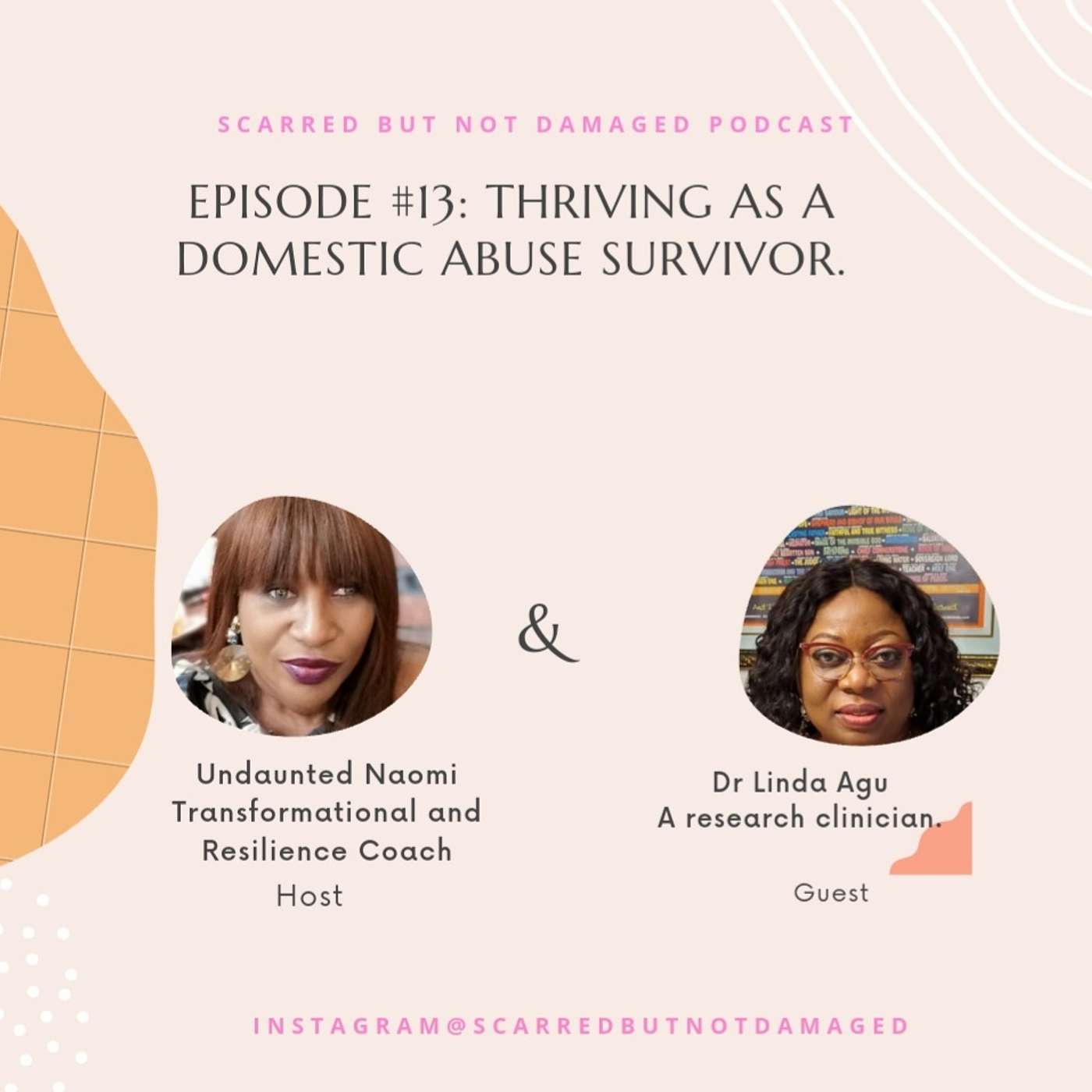 THRIVING AS A DOMESTIC ABUSE SURVIVOR. THRIVING AS A DOMESTIC ABUSE SURVIVOR.