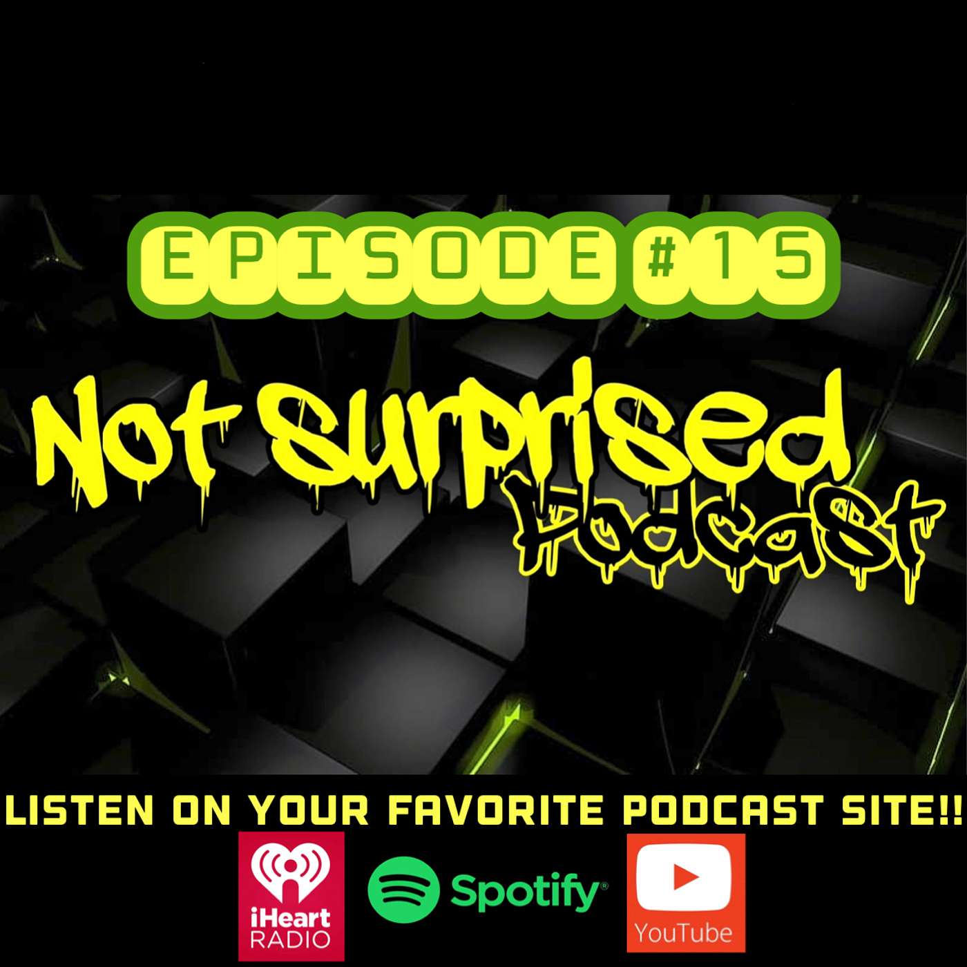 Not Surprised Podcast
