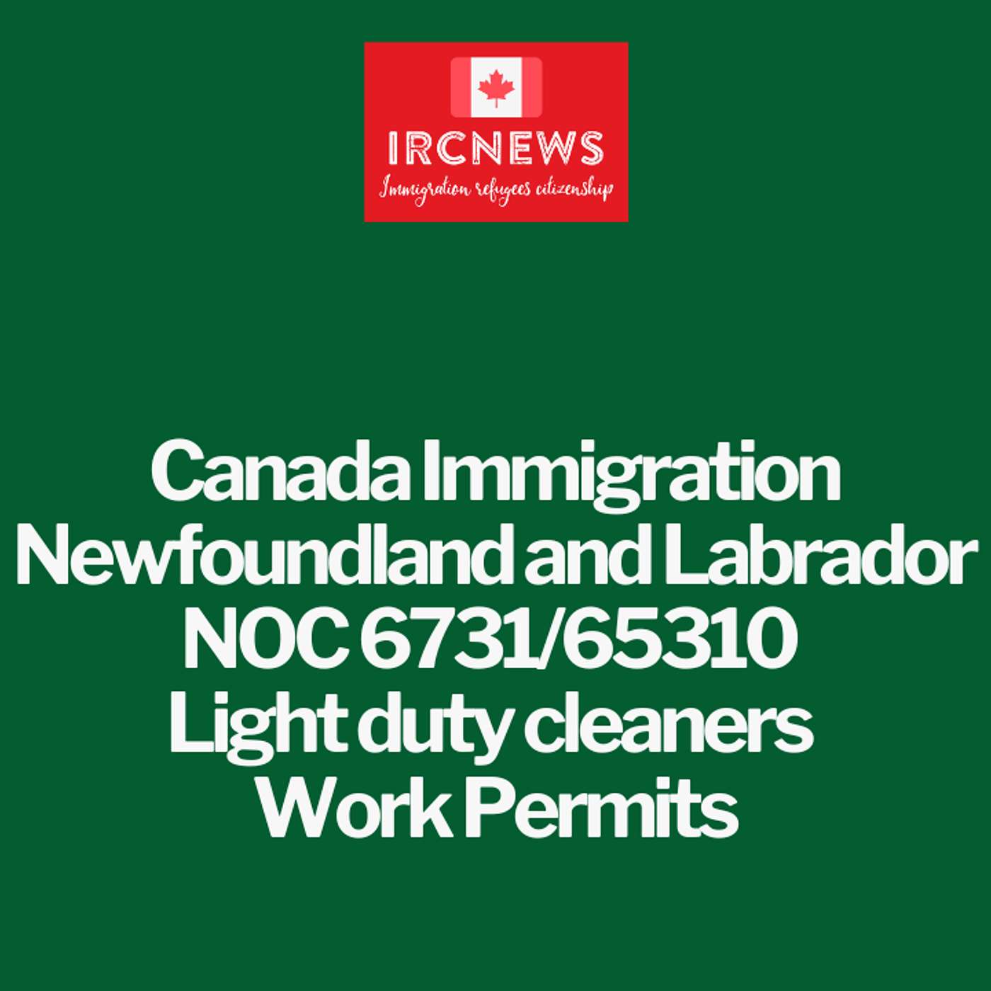Canada Immigration Newfoundland and Labrador NOC 6731/65310 Light duty cleaners Work Permits episode artwork