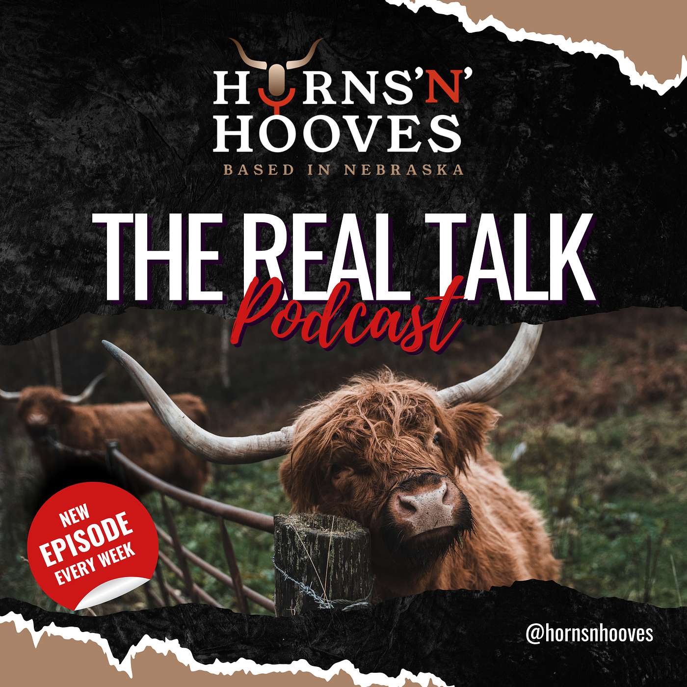 Horns and Hooves: The Highland Cattle Podcast Trailer episode artwork