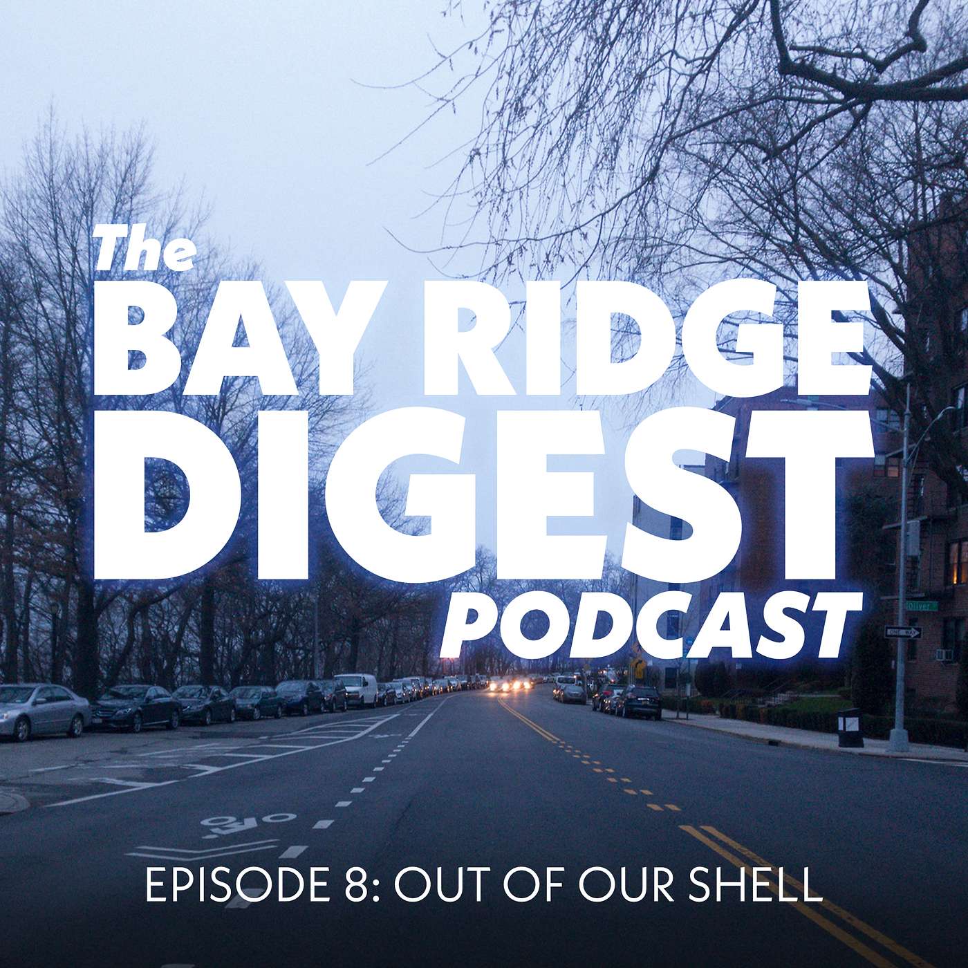 The Bay Ridge Digest